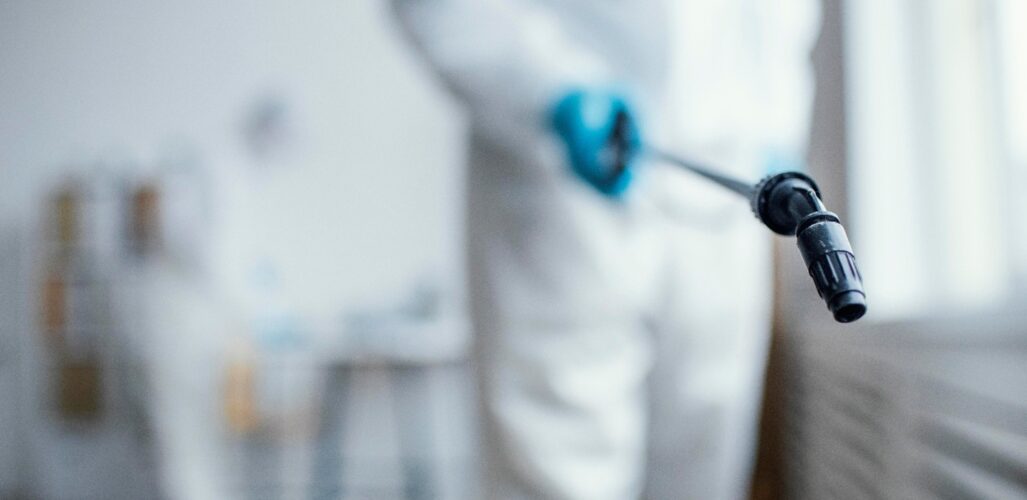 INFESTATION PREVENTION : HOW CAN PROPER CLEANING PROTECT YOUR WORKPLACE FROM PESTS ?