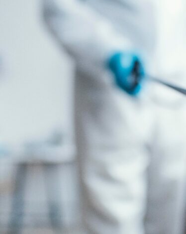 INFESTATION PREVENTION : HOW CAN PROPER CLEANING PROTECT YOUR WORKPLACE FROM PESTS ?